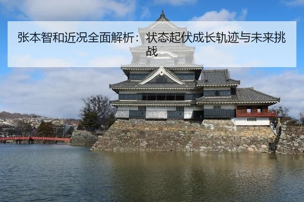 张本智和近况全面解析：状态起伏成长轨迹与未来挑战