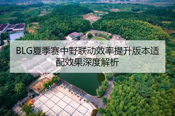 BLG夏季赛中野联动效率提升版本适配效果深度解析